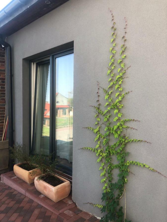 Flores Apartament Katoviçe Dış mekan fotoğraf
